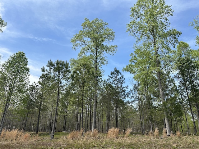 6390 Raulston Falls Rd Unit Jf-094, Jasper, TN 37347 - photo 21
