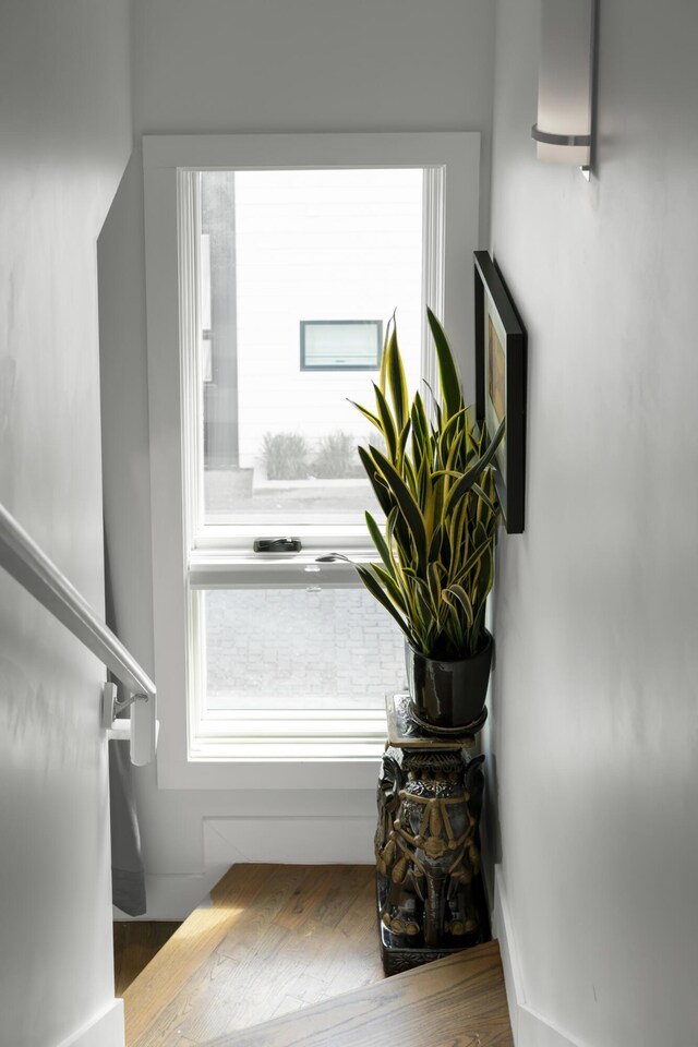 stairway with wood finished floors