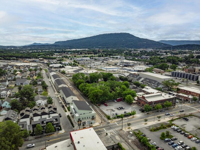 aerial view of a mountain backdrop