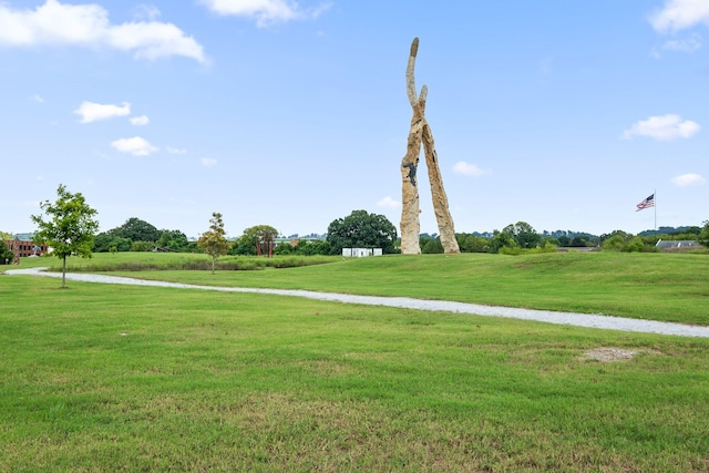 view of community with a yard