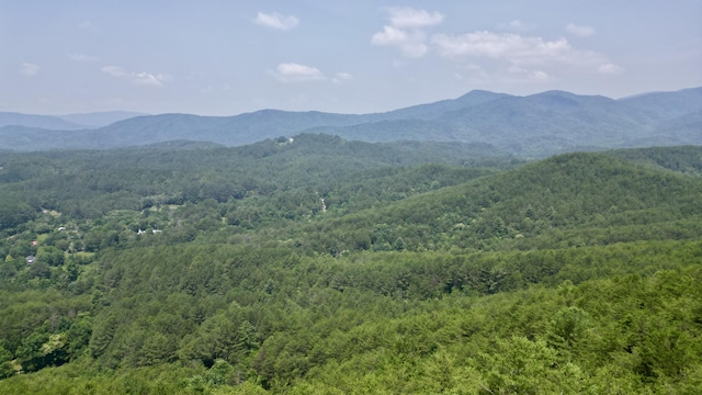 0 Little Mountain Rd, Copperhill, TN 37317