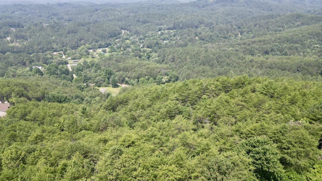 0 Little Mountain Rd, Copperhill, TN 37317