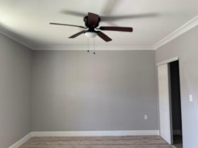 3113 10th Ave, Chattanooga, TN 37407 - empty room with a ceiling fan, light wood-type flooring, and crown molding