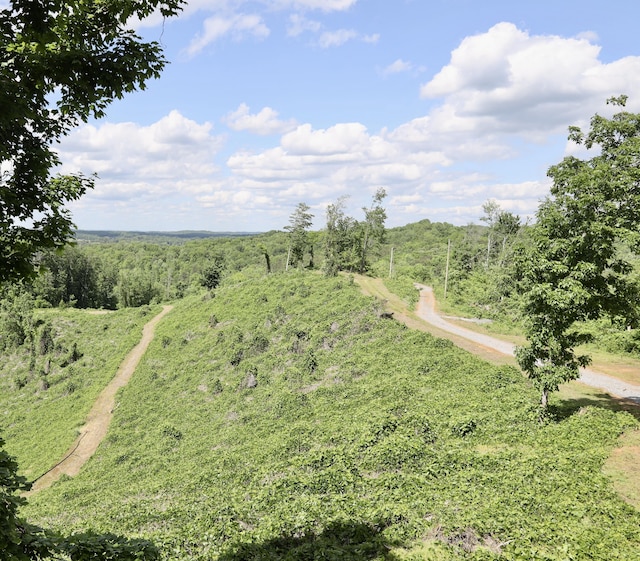 240 County Rd Unit 655, Athens, TN 37303 - photo 2