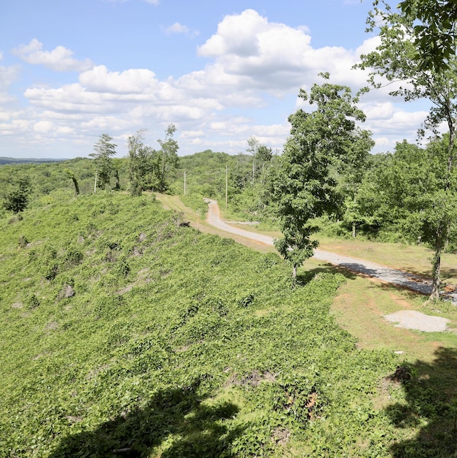 240 County Rd Unit 655, Athens, TN 37303 - photo 6