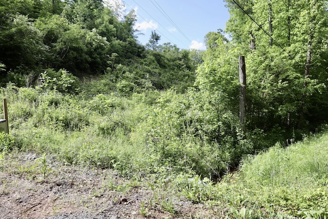240 County Rd Unit 655, Athens, TN 37303 - photo 10