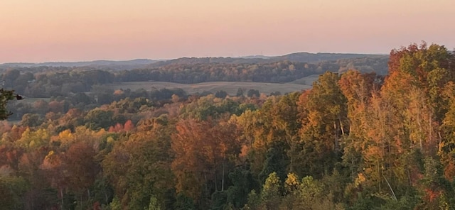 240 County Rd Unit 655, Athens, TN 37303 - photo 13