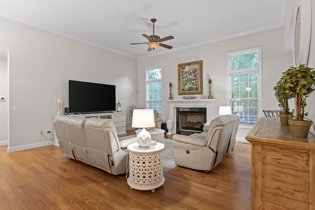 212 Smith St, Signal Mountain, TN 37377 - living area featuring ceiling fan, light wood-style flooring, plenty of natural light, a fireplace, and crown molding