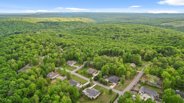 212 Smith St, Signal Mountain, TN 37377 - aerial view of a heavily wooded area