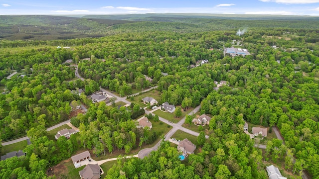 212 Smith St, Signal Mountain, TN 37377 - aerial view of a forest