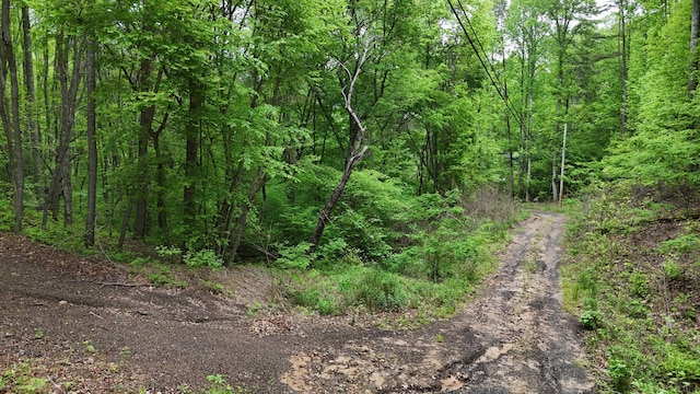115 Calvender Rd, Turtletown, TN 37391