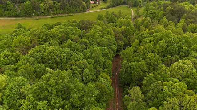 115 Calvender Rd, Turtletown, TN 37391