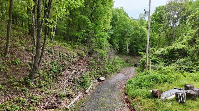 115 Calvender Rd, Turtletown, TN 37391