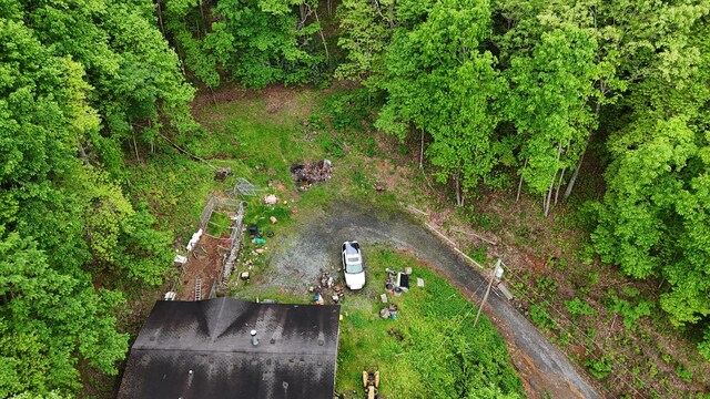 115 Calvender Rd, Turtletown, TN 37391