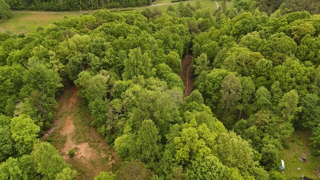 115 Calvender Rd, Turtletown, TN 37391
