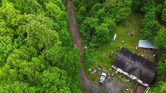 115 Calvender Rd, Turtletown, TN 37391