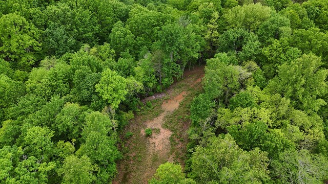 115 Calvender Rd, Turtletown, TN 37391