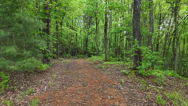115 Calvender Rd, Turtletown, TN 37391
