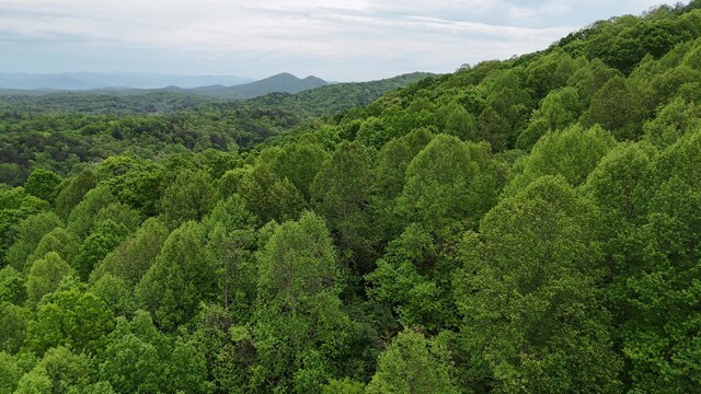 115 Calvender Rd, Turtletown, TN 37391