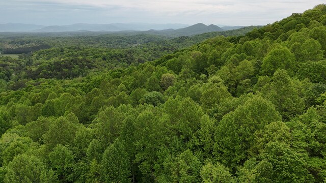 115 Calvender Rd, Turtletown, TN 37391