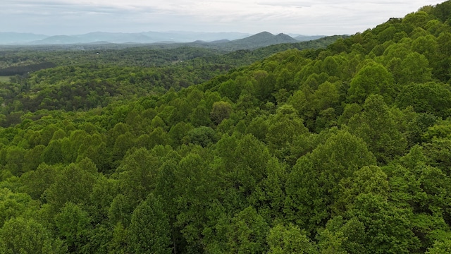 115 Calvender Rd, Turtletown, TN 37391