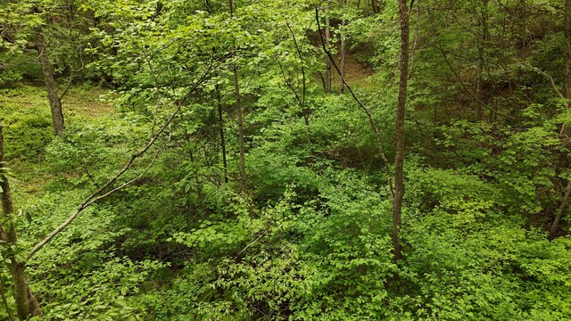 115 Calvender Rd, Turtletown, TN 37391