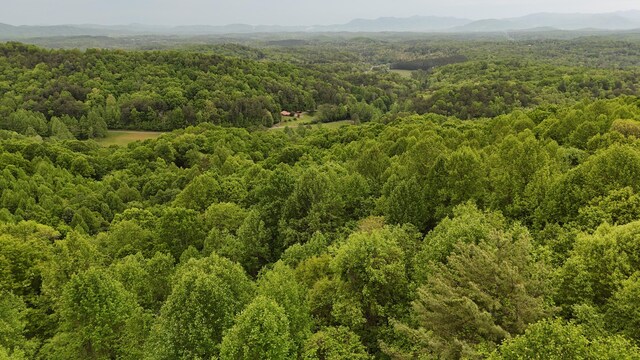 115 Calvender Rd, Turtletown, TN 37391
