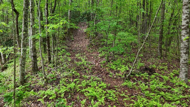 115 Calvender Rd, Turtletown, TN 37391