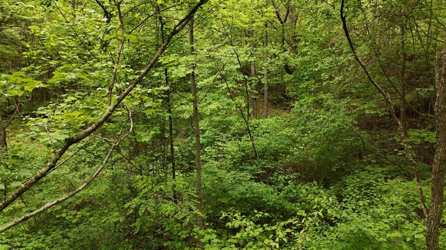 115 Calvender Rd, Turtletown, TN 37391