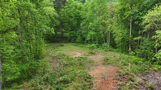 115 Calvender Rd, Turtletown, TN 37391