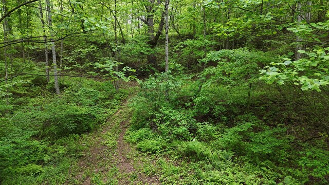 115 Calvender Rd, Turtletown, TN 37391