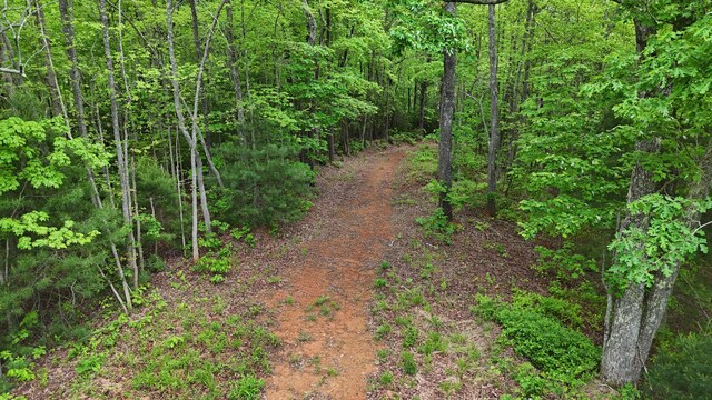 115 Calvender Rd, Turtletown, TN 37391