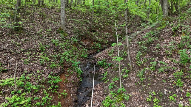115 Calvender Rd, Turtletown, TN 37391