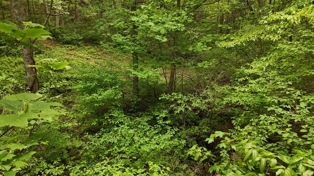 115 Calvender Rd, Turtletown, TN 37391