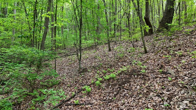115 Calvender Rd, Turtletown, TN 37391