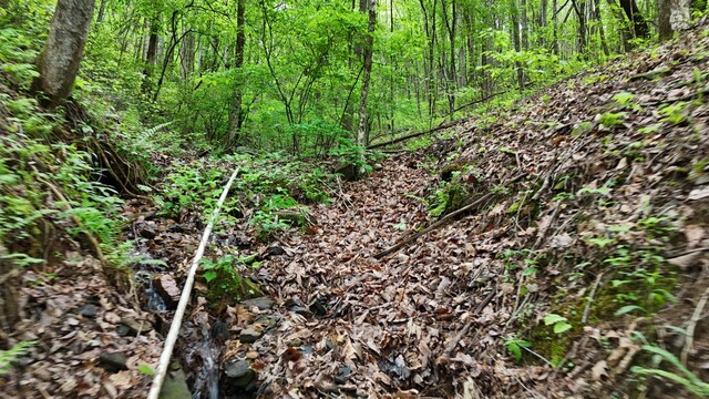 115 Calvender Rd, Turtletown, TN 37391