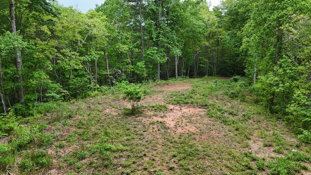 115 Calvender Rd, Turtletown, TN 37391