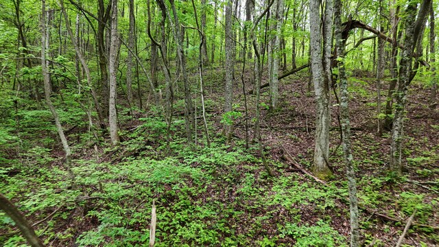 115 Calvender Rd, Turtletown, TN 37391