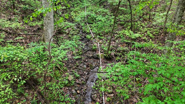 115 Calvender Rd, Turtletown, TN 37391