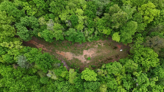 115 Calvender Rd, Turtletown, TN 37391