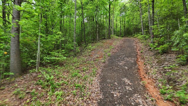 115 Calvender Rd, Turtletown, TN 37391