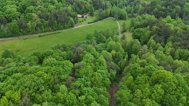115 Calvender Rd, Turtletown, TN 37391