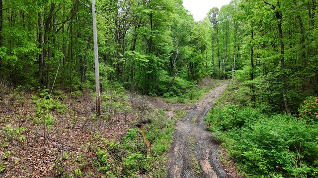 115 Calvender Rd, Turtletown, TN 37391