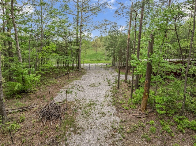 1034 Gadsden Way, Spencer, TN 38585