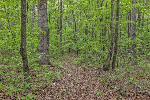 1034 Gadsden Way, Spencer, TN 38585
