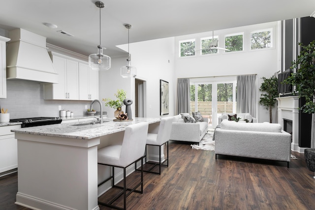 1872 Emmeline Way Unit 09, Hixson, TN 37343 - kitchen featuring a sink, custom exhaust hood, decorative backsplash, white cabinets, and light stone countertops