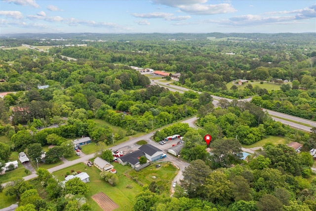 bird's eye view with a view of trees