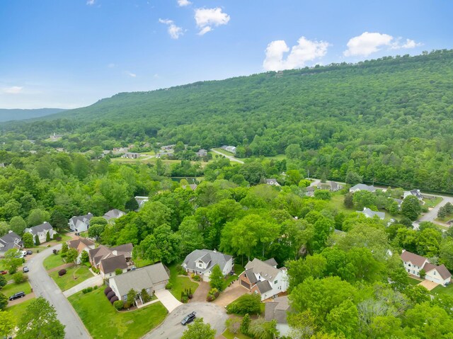 802 Creek Overlook Rd, Chattanooga, TN 37415 - aerial view of residential area with a heavily wooded area