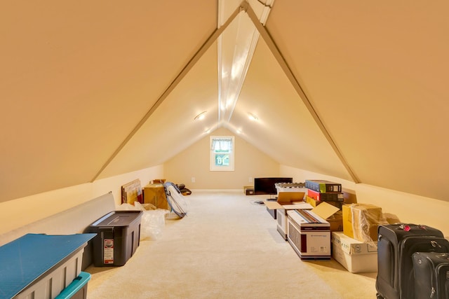 802 Creek Overlook Rd, Chattanooga, TN 37415 - additional living space with carpet flooring and vaulted ceiling