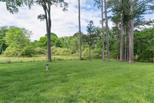 6904 Hickory View Ln, Chattanooga, TN 37421 - view of yard